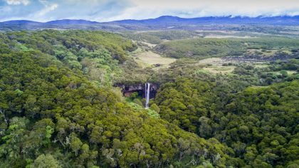 Aberdare-National-Park-Kenya