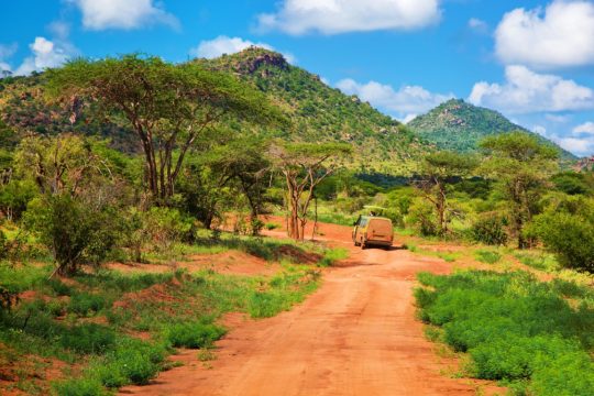 18262093 - red ground road and bush with savanna landscape in africa. tsavo west, kenya.